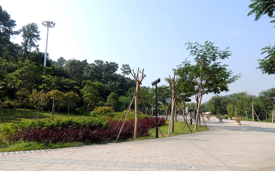 太陽(yáng)能庭院燈 ZX-3006應(yīng)用圖