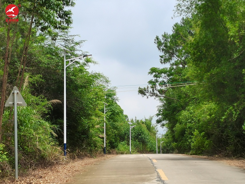 江門恩平太陽(yáng)能路燈
