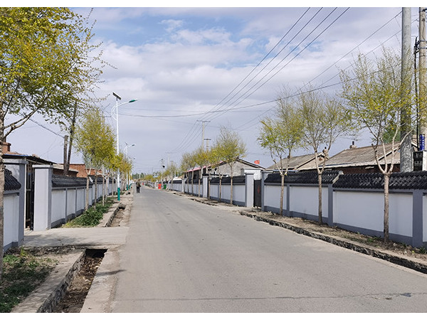 新農村太陽能路燈